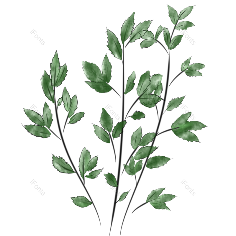 绿叶图片,卡通绿叶元素,绿植PNG,卡通绿植免抠素材